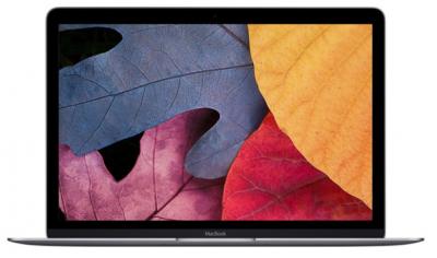 Ноутбук Apple MacBook 12 ( Intel Core M3 6Y30/8Gb/256Gb SSD/Intel HD Graphics 515/12"/2304x1440/Нет/Mac OS X) Серый