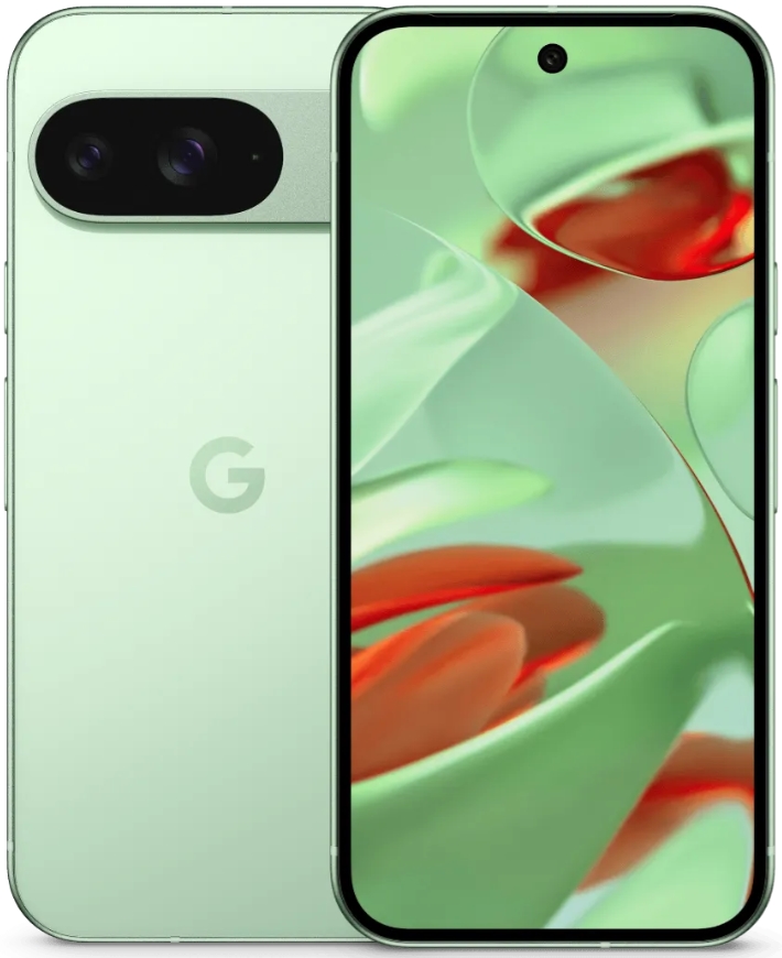 Смартфон Google Pixel 9 12/256GB USAWintergreen (Зеленый)