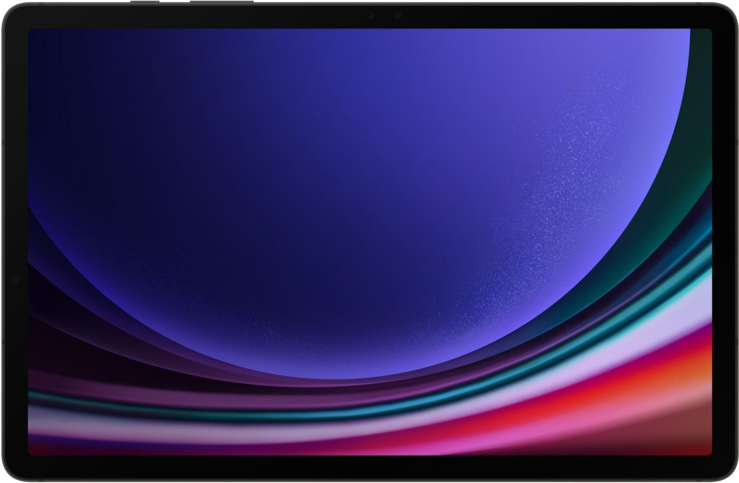 Планшет Samsung Galaxy Tab S9 Wi-Fi 12/256GB Global Графит