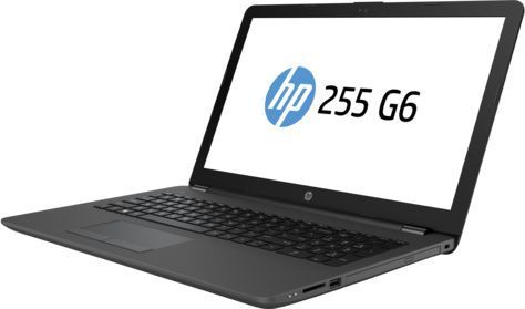 Ноутбук HP 255 G6 ( AMD E2 9000e/4Gb/500Gb HDD/AMD Radeon R2/15,6"/1366x768/DVD-RW/Windows 10 Home) Черный